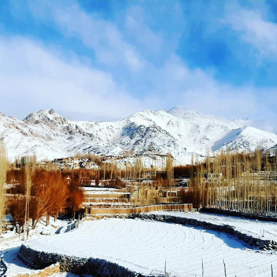 Ladakh Country Inn Leh Kültér fotó